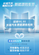 百万补贴 万套好礼 长城汽车新能源